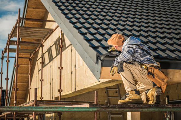 Best Roof Maintenance Services  in Robie Creek, ID