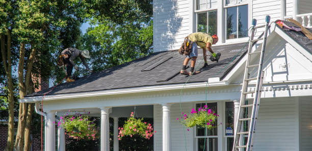 Best Roof Gutter Cleaning  in Robie Creek, ID